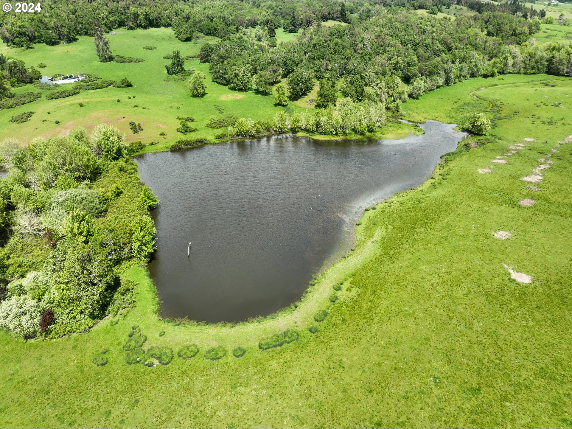 5961 Lookingglass Road Roseburg, OR 97471 - Photo 11 of 40 a view of a lake with a yard