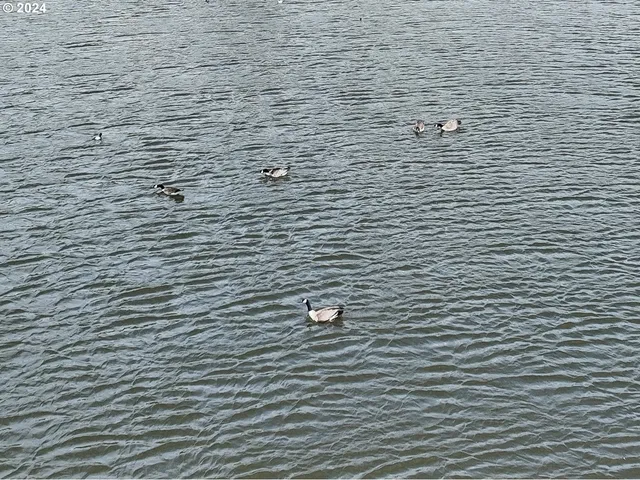 a bathroom with a brick wall