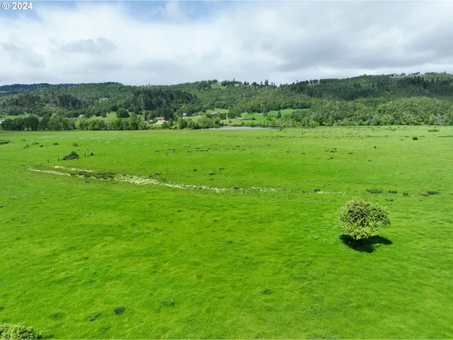 a view of a green field with trees in the background