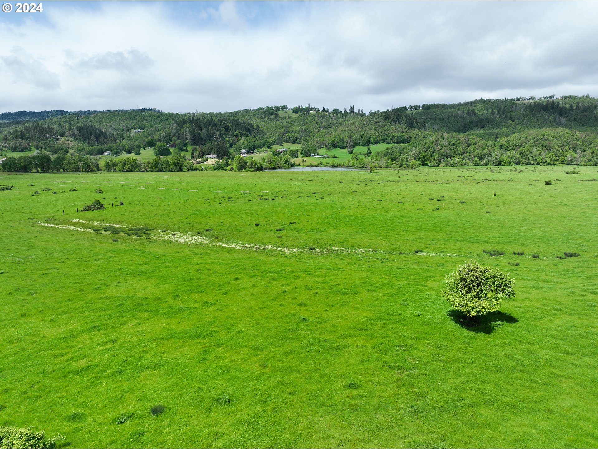 5961 Lookingglass Road Roseburg, OR 97471 - Photo 13 of 40 a view of a green field with trees in the background