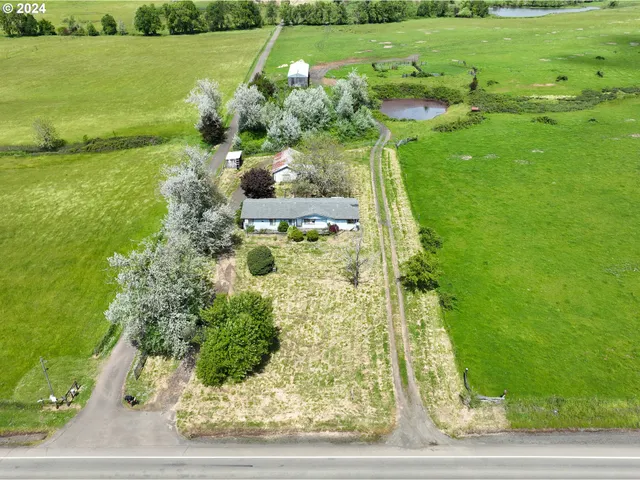 a view of a garden with an outdoor space