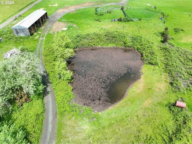 a view of a garden with a pathway
