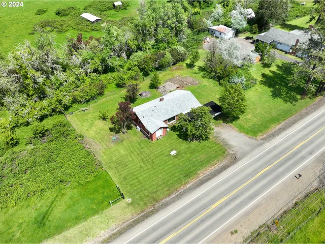 a view of a garden from a window