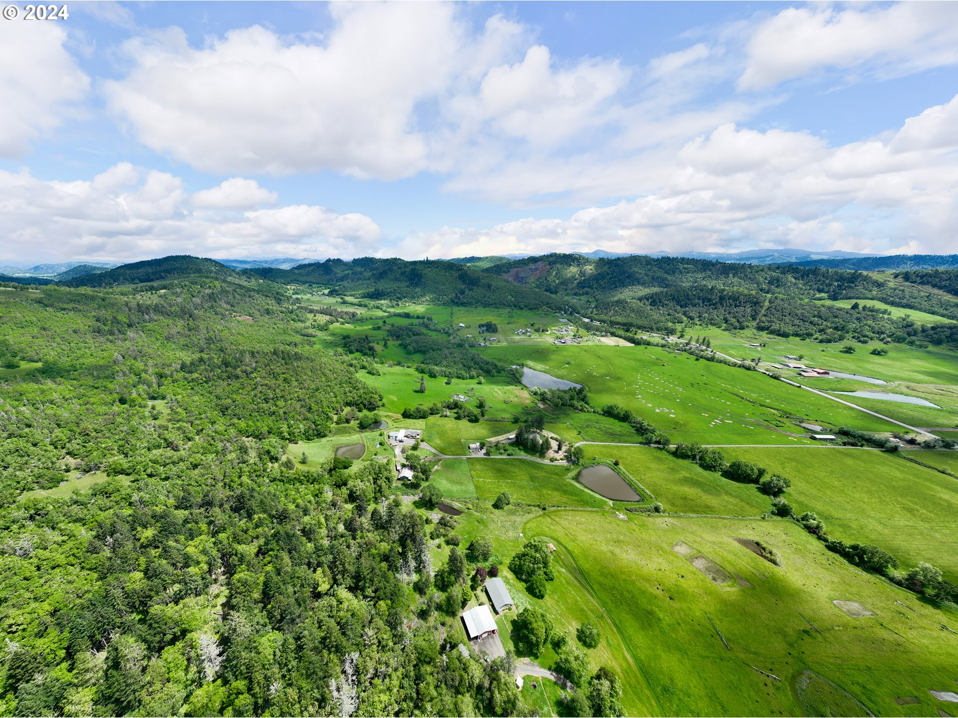 5961 Lookingglass Road Roseburg, OR 97471 - Photo 24 of 40 a view of a green field with lots of bushes