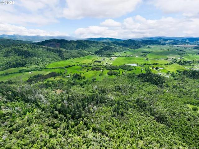 a view of a green field with lots of bushes
