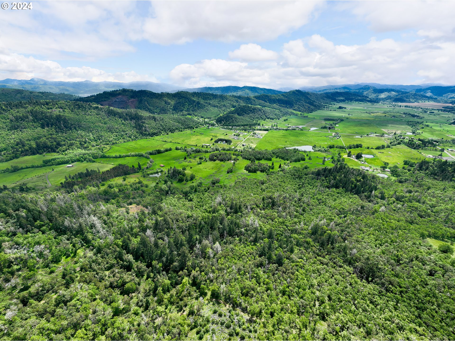 5961 Lookingglass Road Roseburg, OR 97471 - Photo 25 of 40 a view of a green field with lots of bushes
