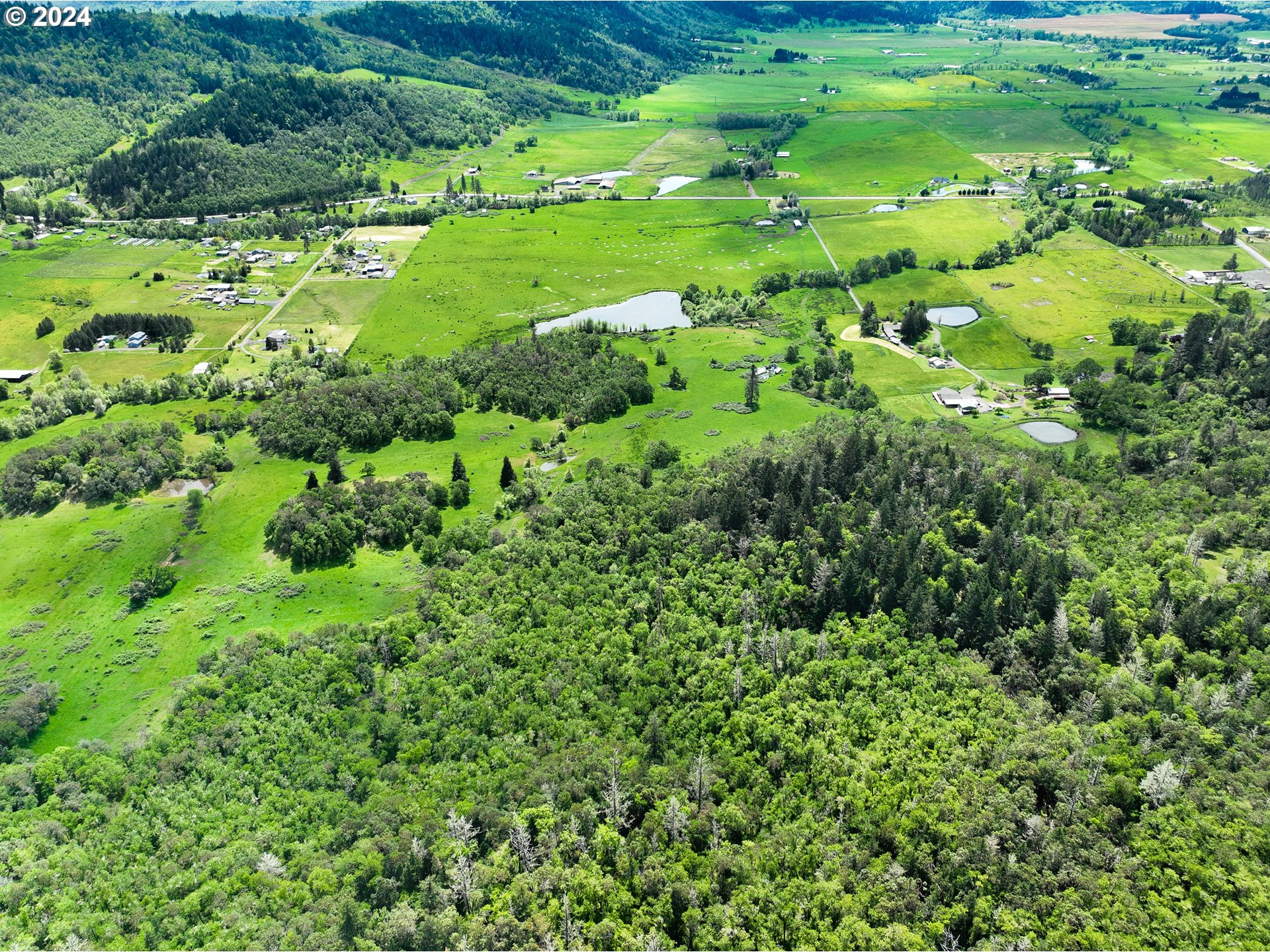5961 Lookingglass Road Roseburg, OR 97471 - Photo 27 of 40 a view of a garden with a tree