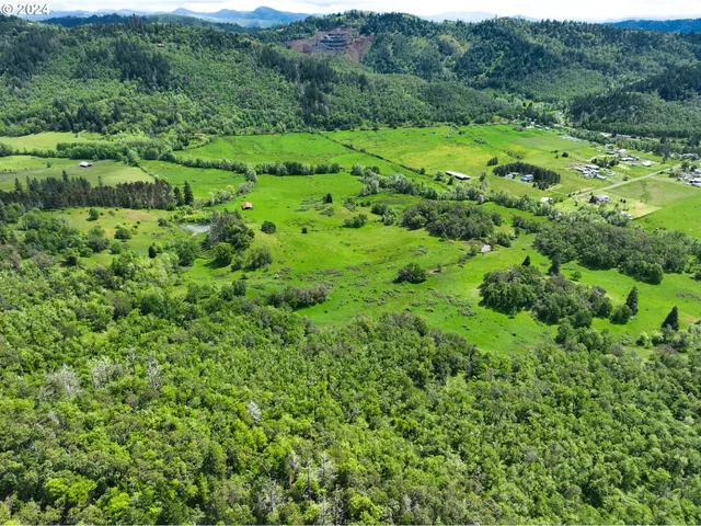 a view of a lush green forest with trees and some houses
