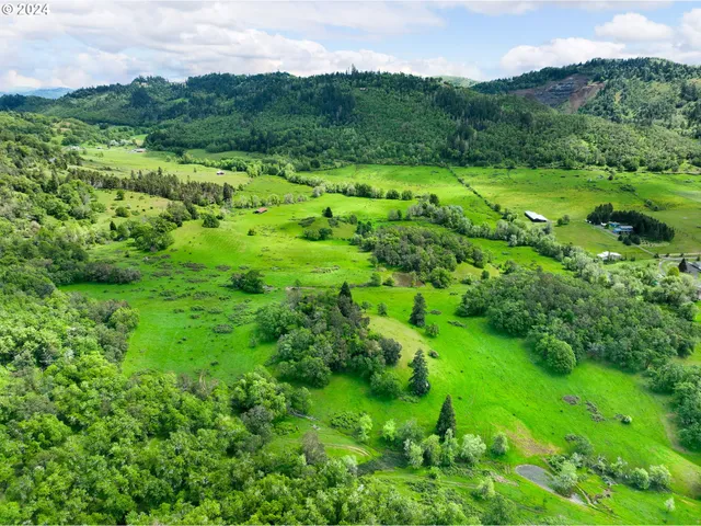 a view of a lush green hillside and houses