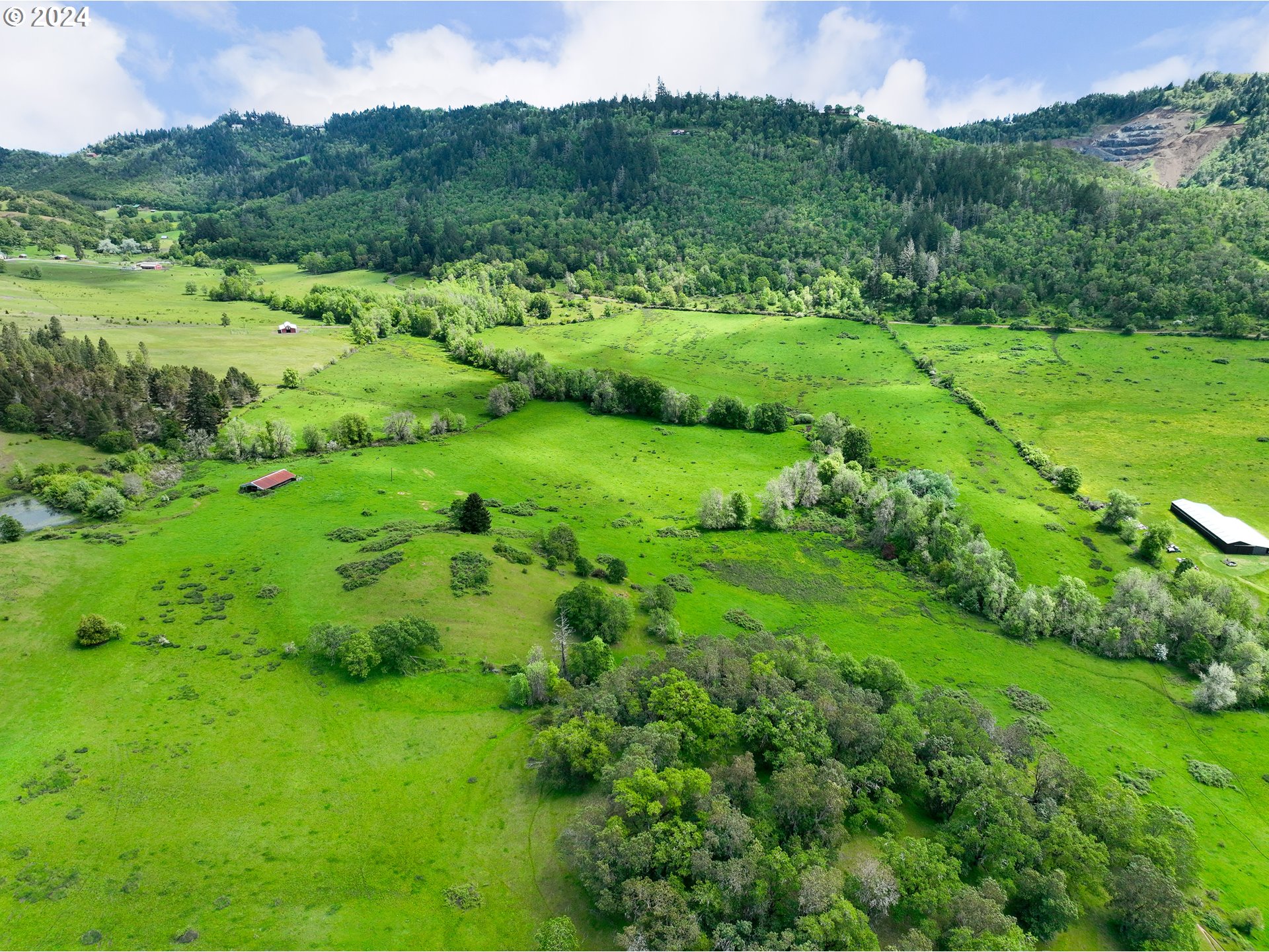 5961 Lookingglass Road Roseburg, OR 97471 - Photo 3 of 40 a view of a lush green hillside and houses
