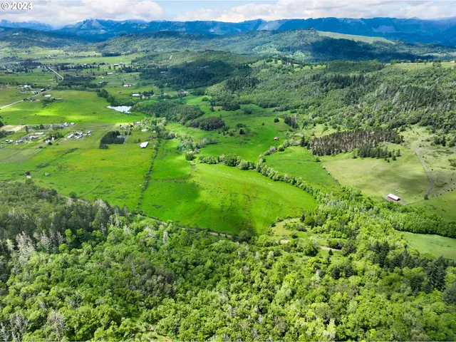a view of a lush green forest with trees and some houses