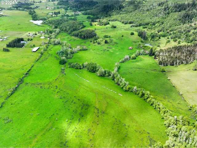 a view of a garden with a lake