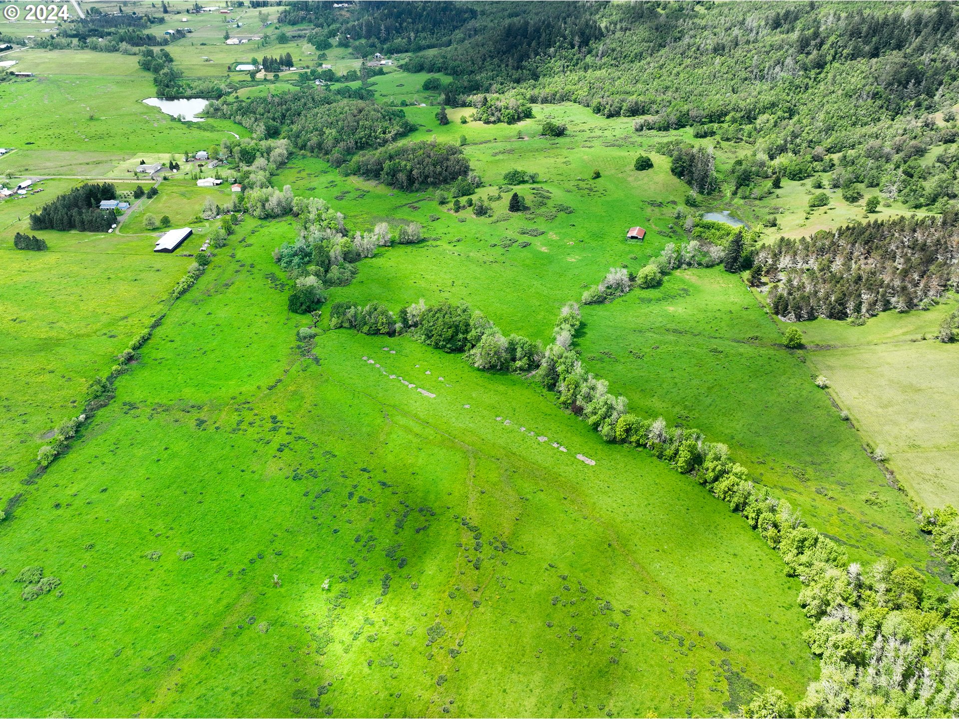 5961 Lookingglass Road Roseburg, OR 97471 - Photo 5 of 40 a view of a garden with a lake