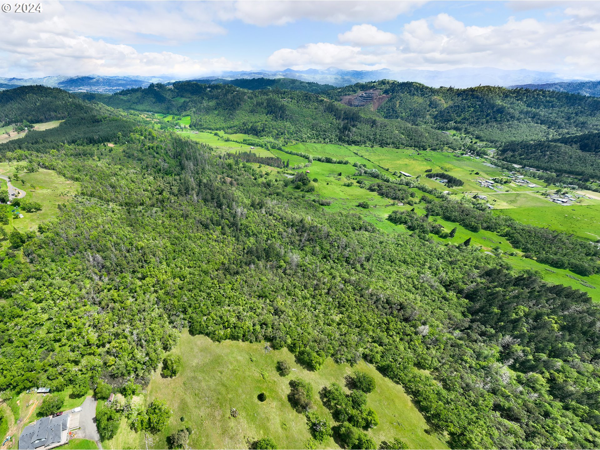 5961 Lookingglass Road Roseburg, OR 97471 - Photo 6 of 40 a view of a lush green forest with lots of trees