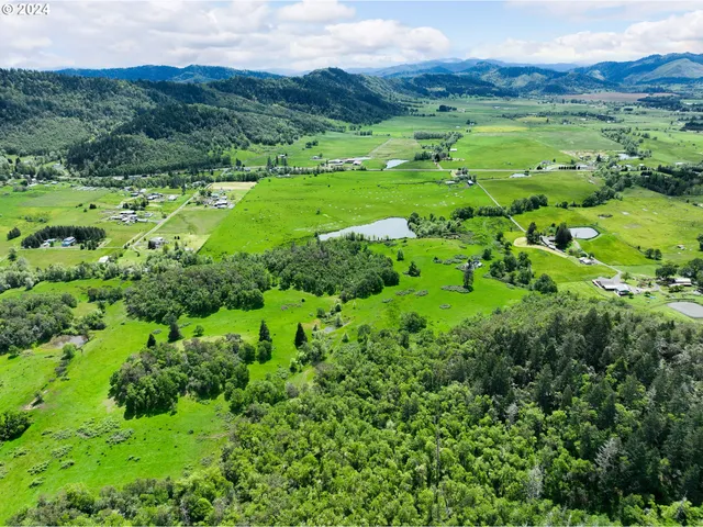 a view of a lush green hillside and a houses