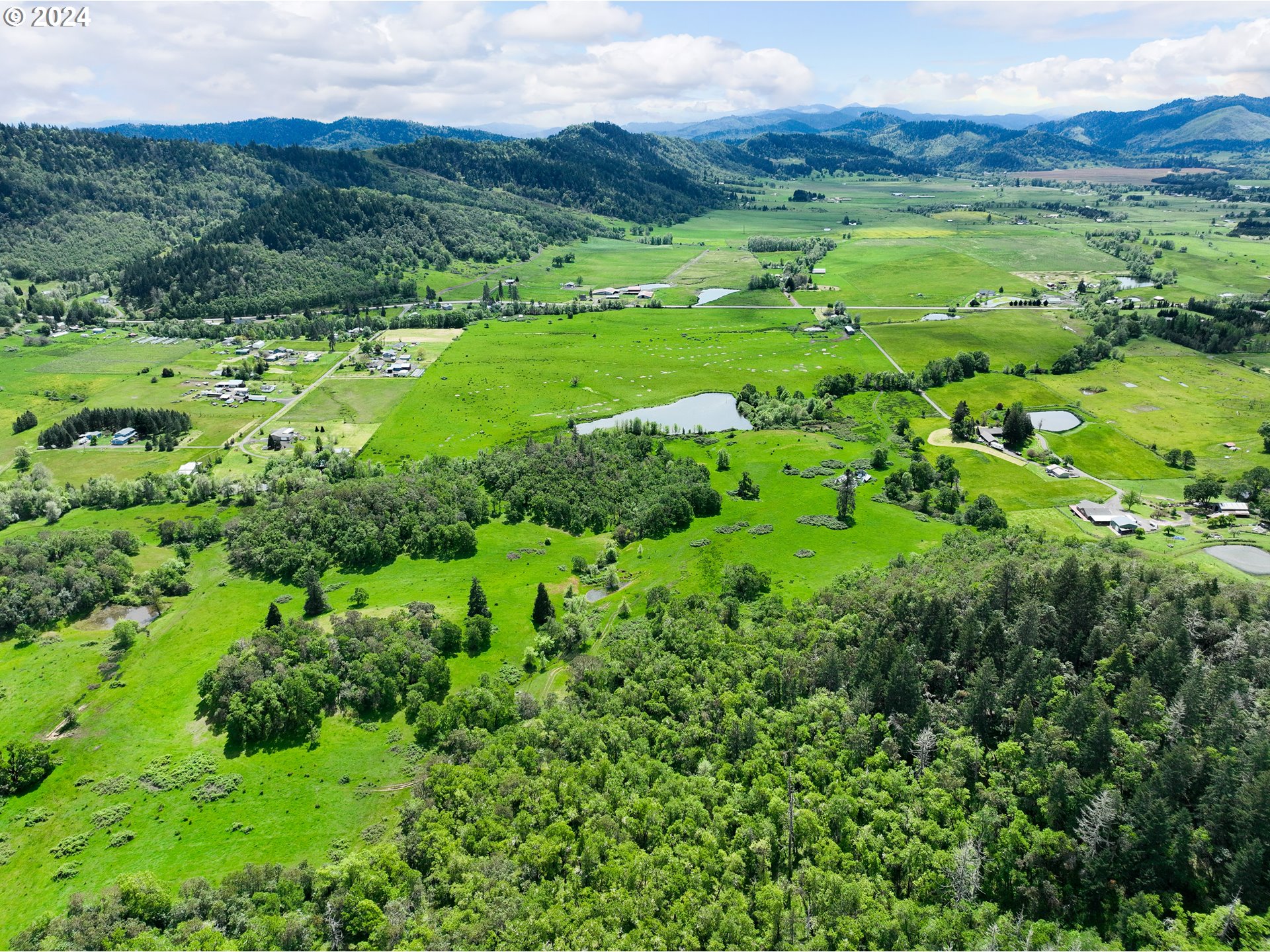 5961 Lookingglass Road Roseburg, OR 97471 - Photo 8 of 40 a view of a lush green hillside and a houses