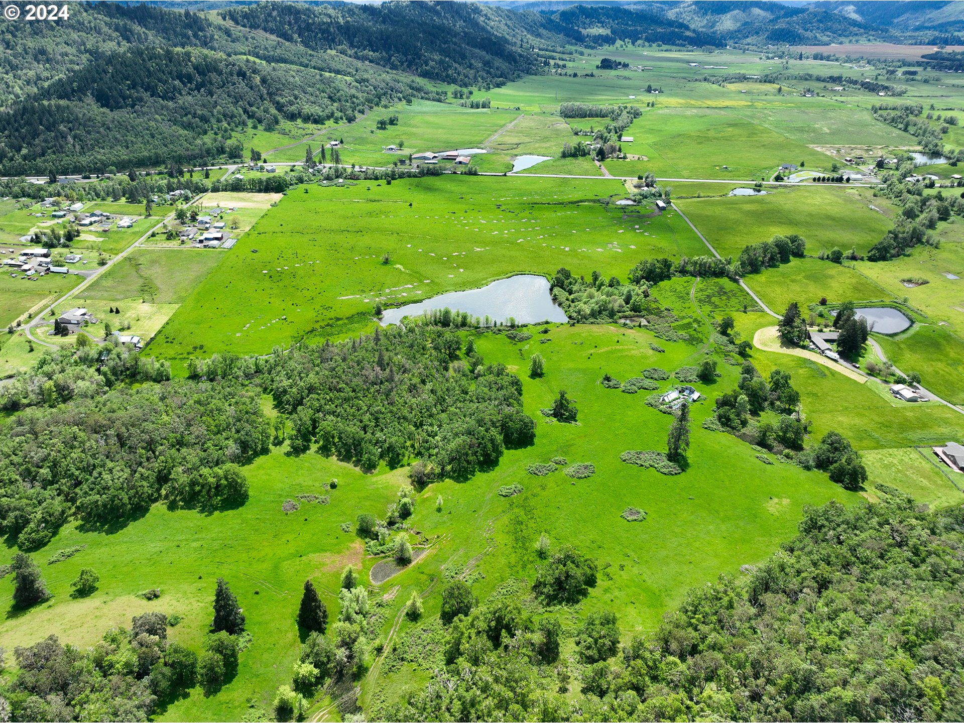5961 Lookingglass Road Roseburg, OR 97471 - Photo 9 of 40 a view of a green field with lots of green space
