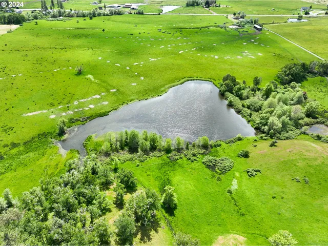 a view of a garden with an outdoor space