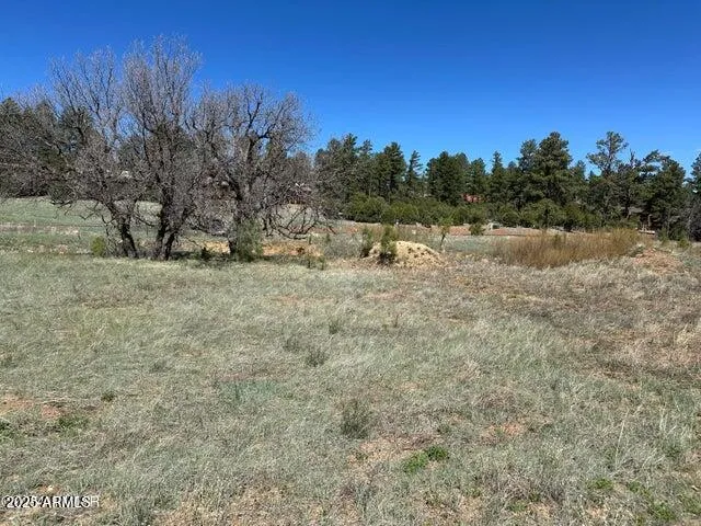 a view of a dry yard with trees in the background