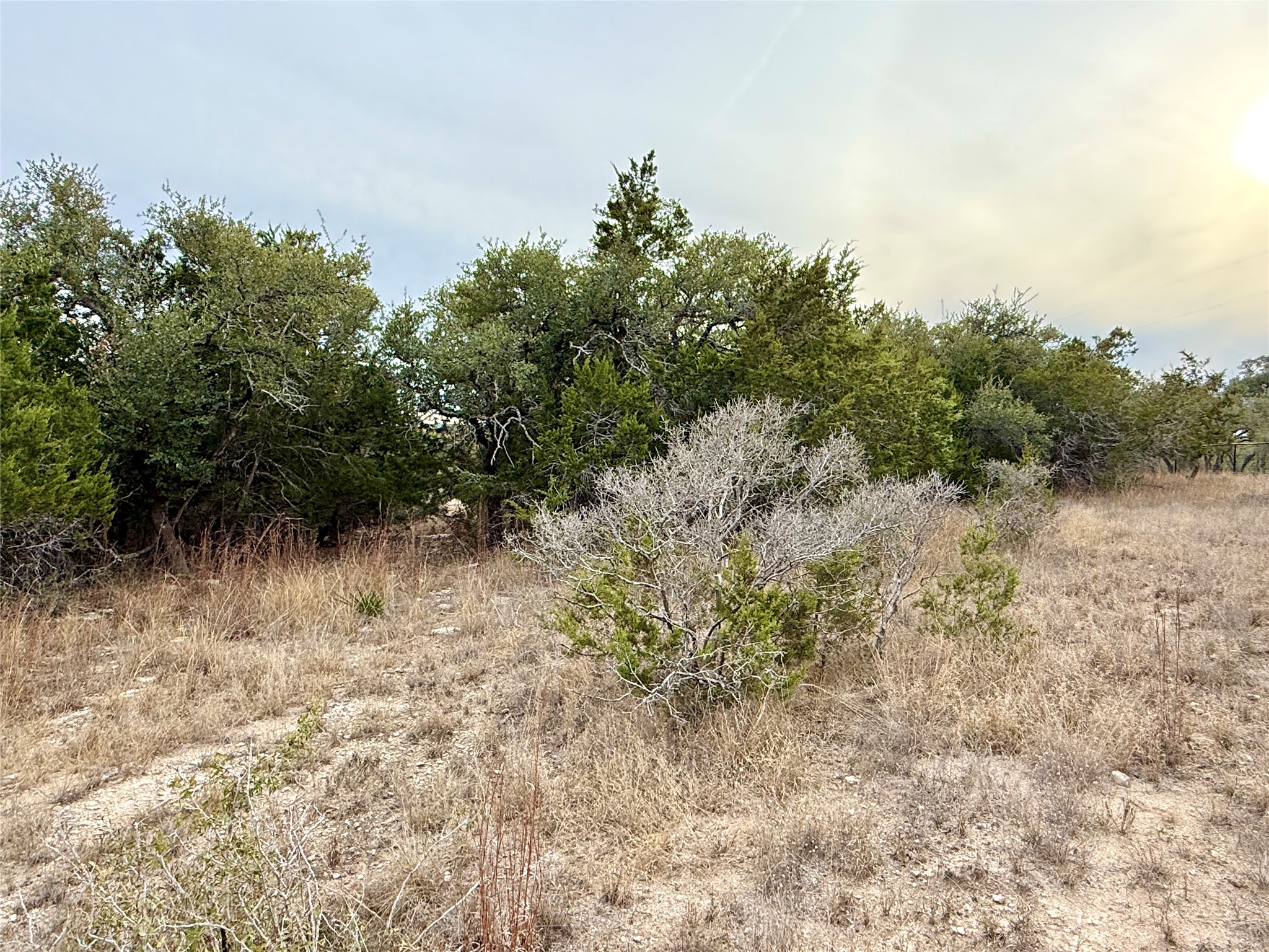 557 Abodar Trail Spring Branch, TX 78070 - Photo 6 of 22 Side