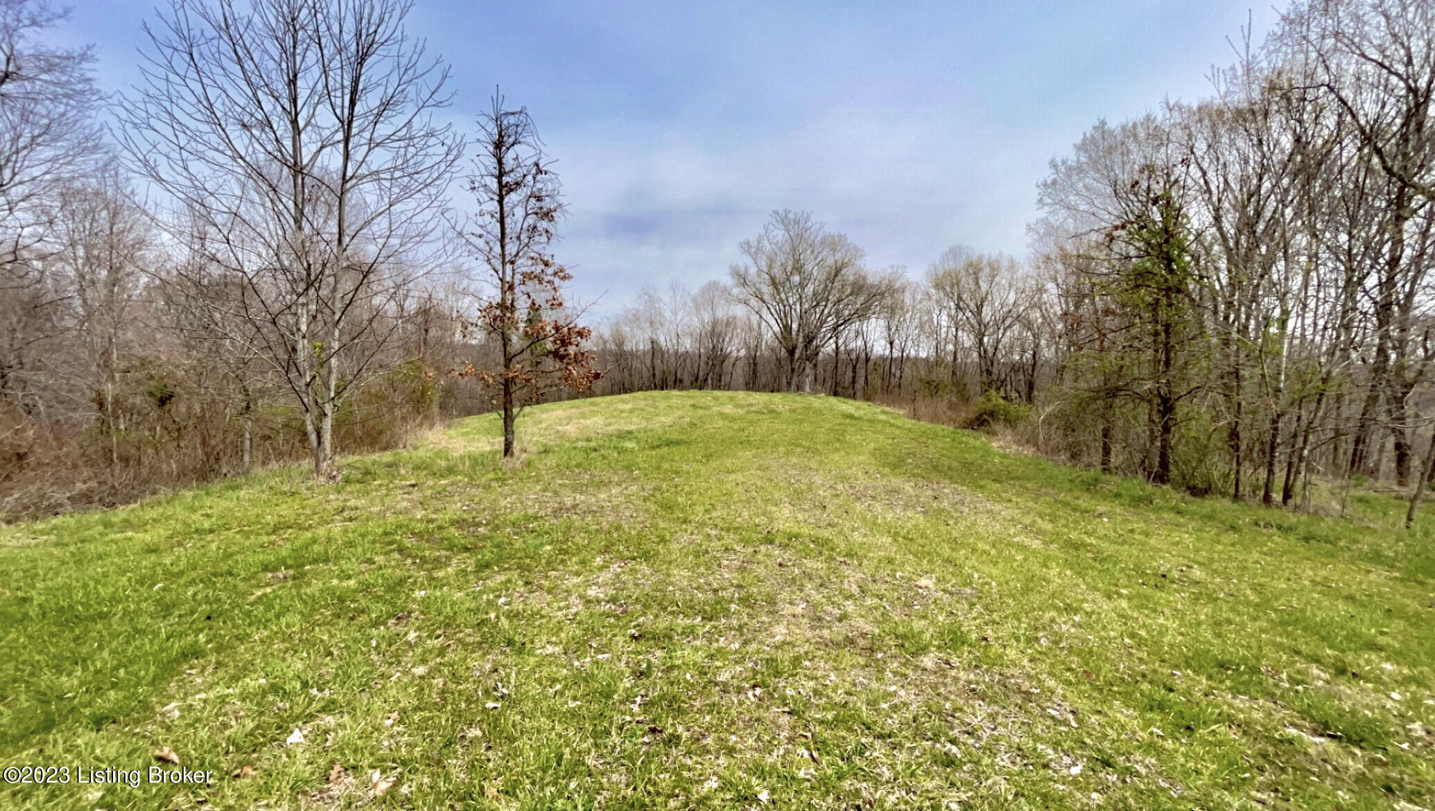 1287 Sandefur Crossing Road Beaver Dam, KY 42320 - Photo 19 of 22 IMG_8940