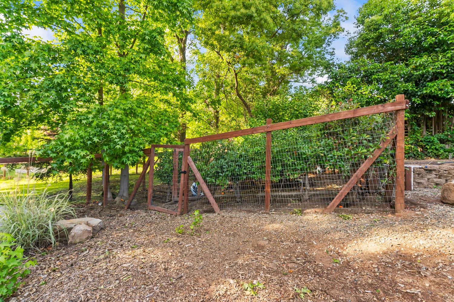 6762 Highland Road Granite Bay, CA 95746 - Photo 60 of 90 a backyard of a house with lots of green space