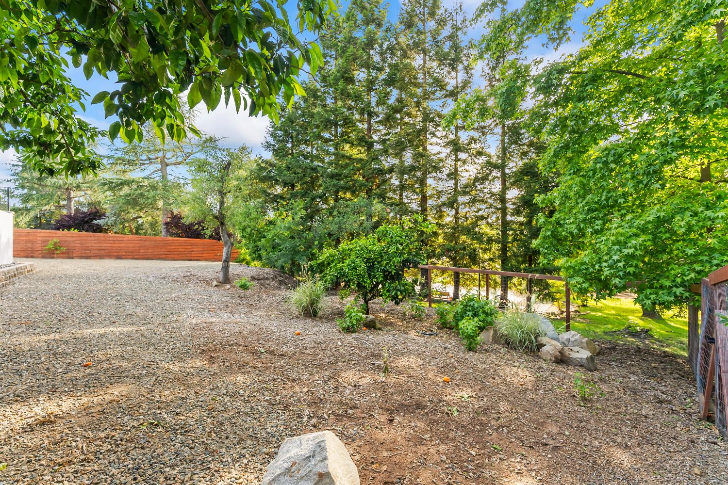 6762 Highland Road Granite Bay, CA 95746 - Photo 62 of 90 a view of a yard with large trees