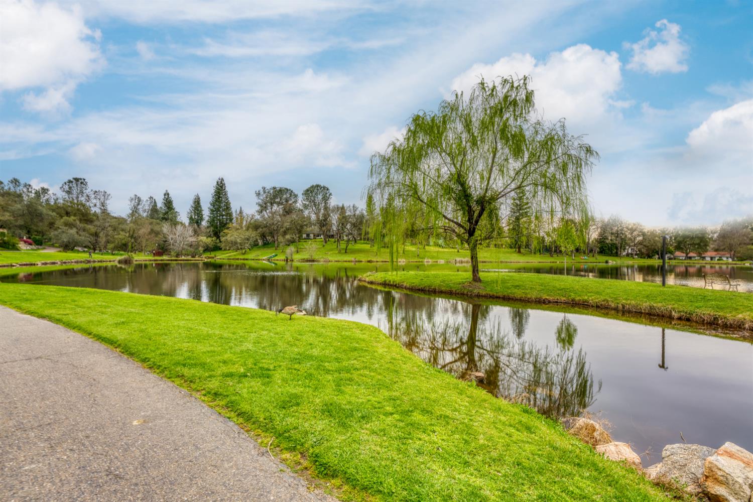 6762 Highland Road Granite Bay, CA 95746 - Photo 90 of 90 a view of a lake with a large trees