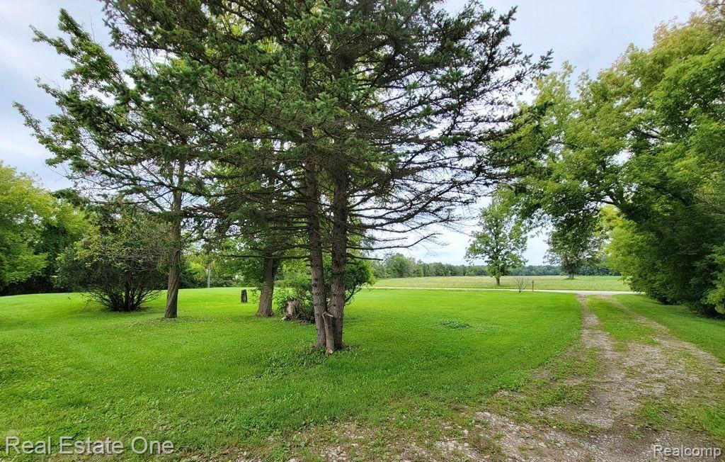 16193 Donald Road Capac, MI 48014 - Photo 41 of 43