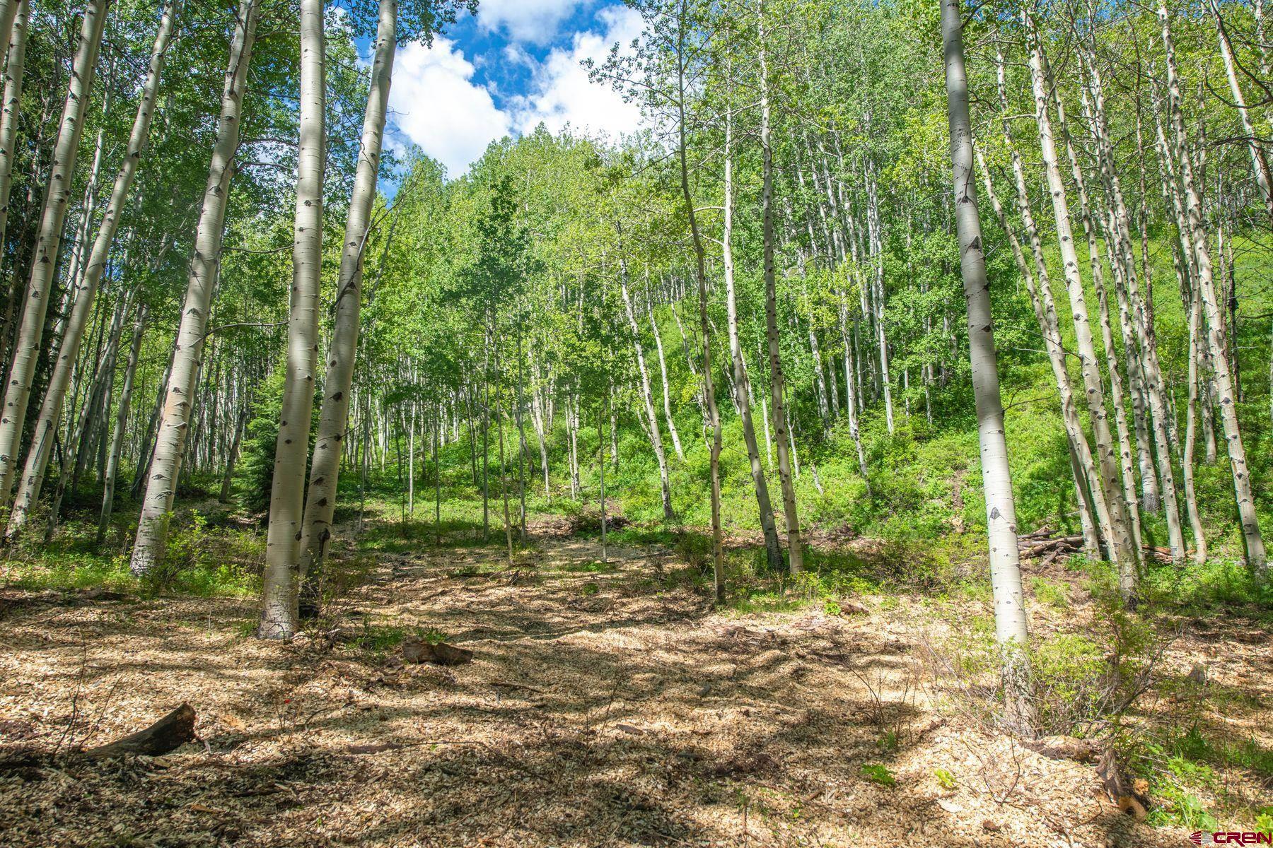 Lot 18 Hidden Mine Road Crested Butte, CO 81224 - Photo 9 of 45 Gallery Image 9