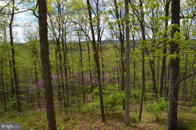 740 Stoops Road Fairfield, PA 17320 - Photo 22 of 30