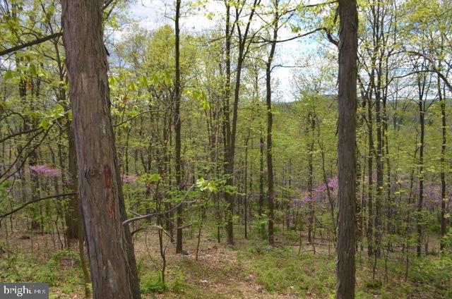 740 Stoops Road Fairfield, PA 17320 - Photo 23 of 30