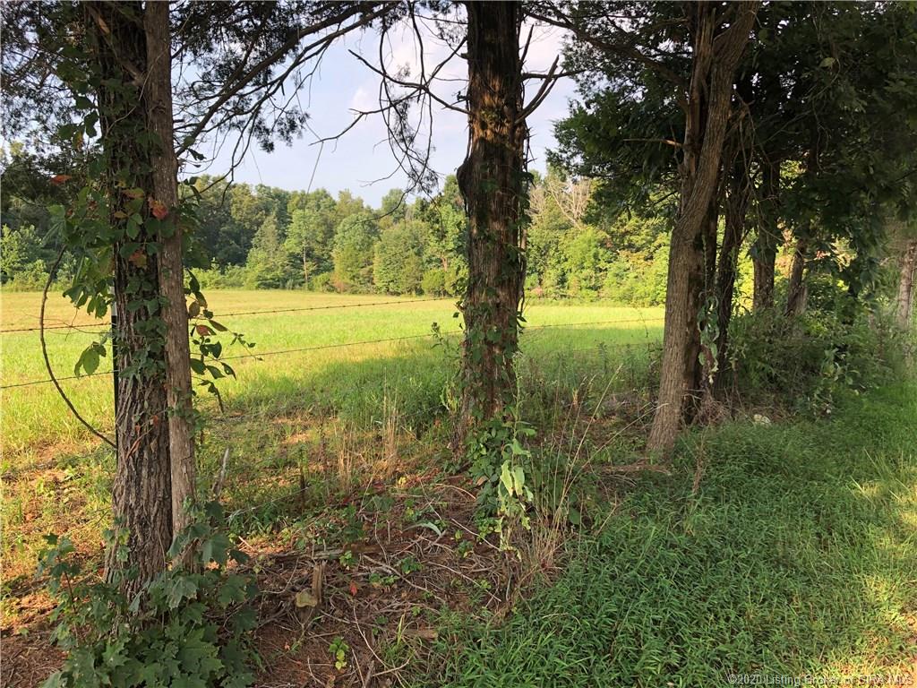 6113 East Shafer Ridge Road Milltown, IN 47145 - Photo 5 of 7