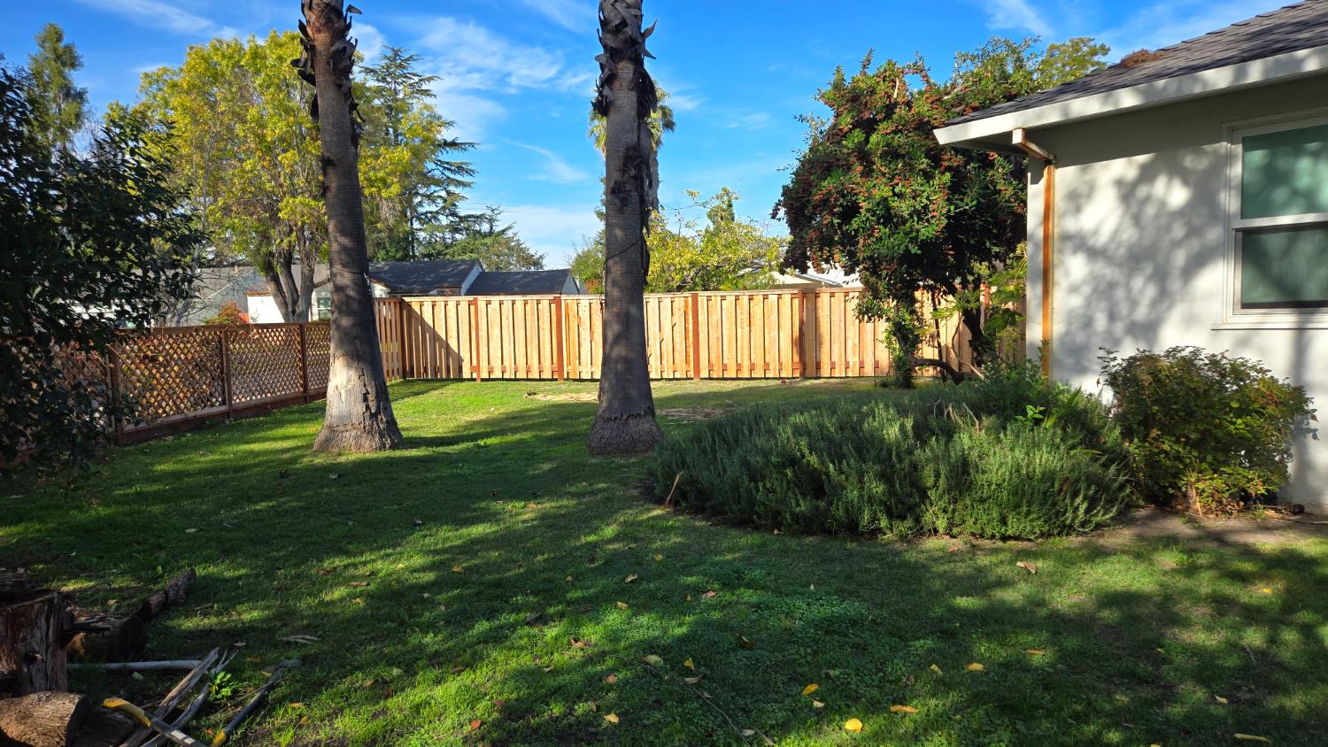 8043 Valencia Avenue Stockton, CA 95209 - Photo 11 of 15 a view of a house with a backyard and a tree