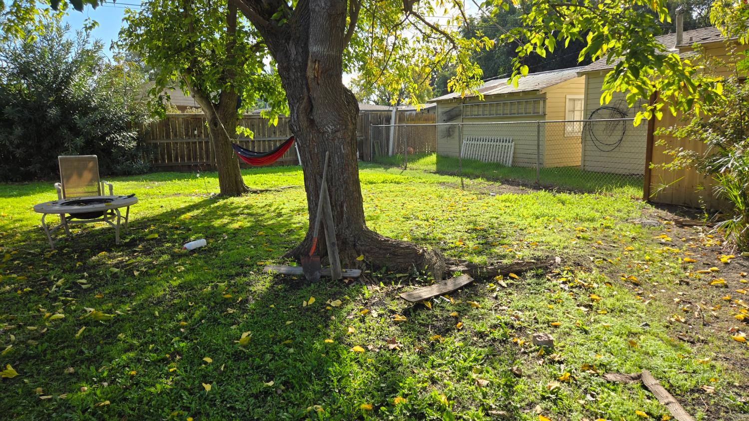 8043 Valencia Avenue Stockton, CA 95209 - Photo 12 of 15 a view of a garden with a tree