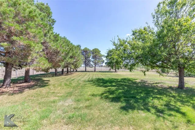 a view of yard with trees