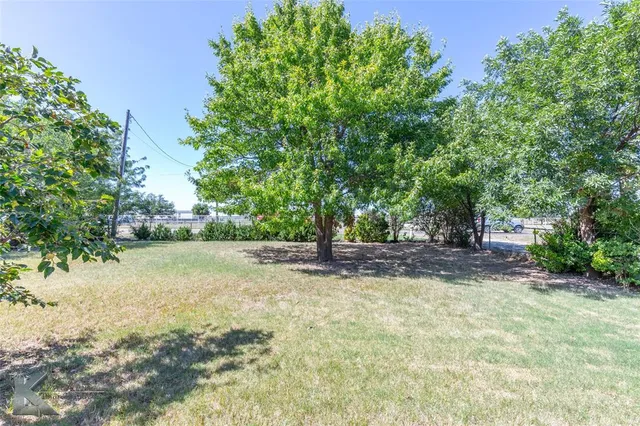 a view of a yard with plants and trees