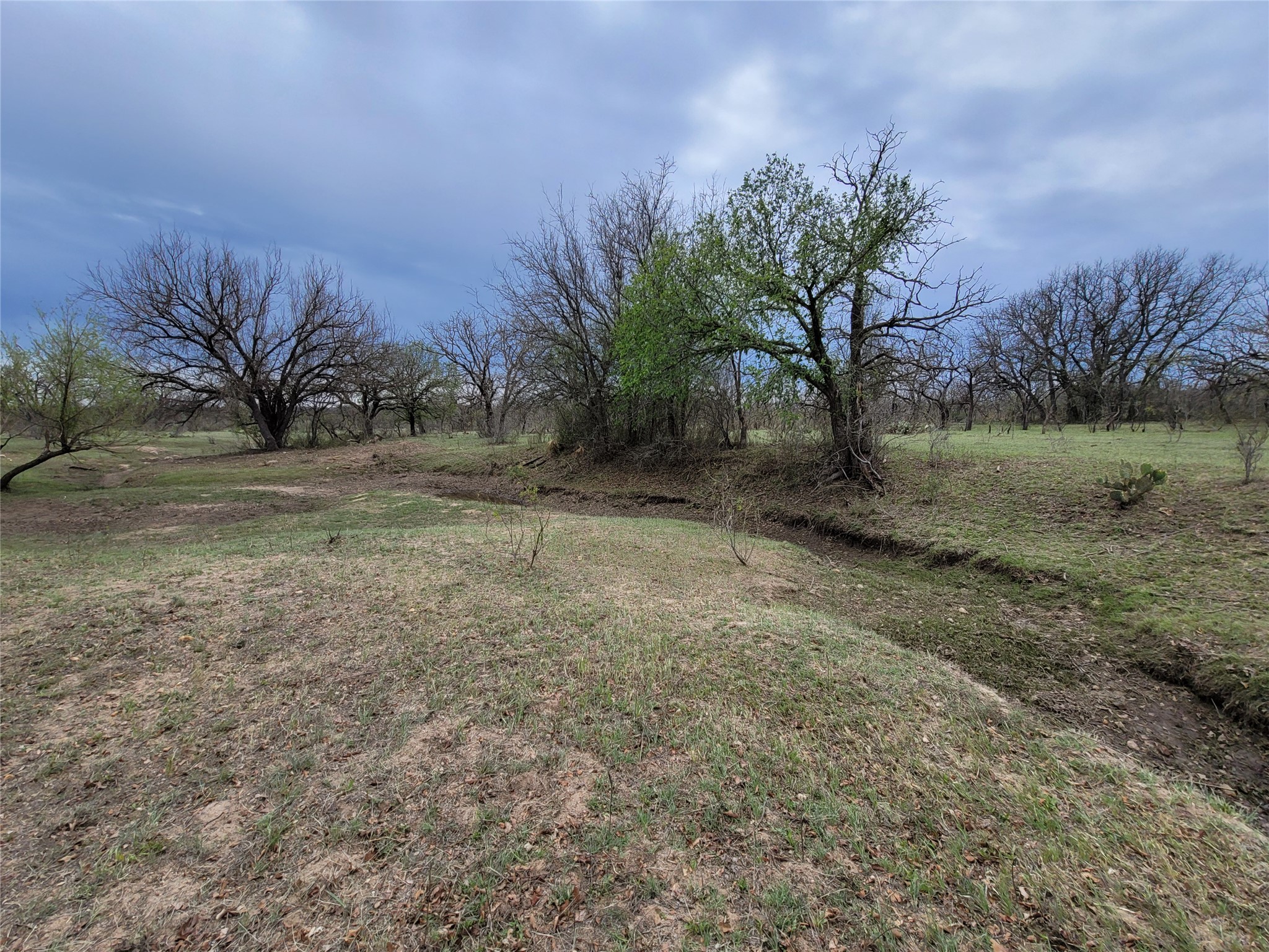 293 Threadgill Lane Valley Spring, TX 76885 - Photo 7 of 14 Mature trees line a natural creek bed carving through the open grassy pasture. - 293 Threadgill Ln, Valley Spring, Texas 76885