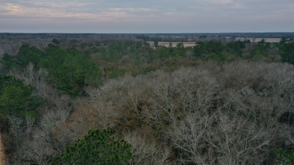 15.05 Pera Road Samson, AL 36477 - Photo 18 of 29