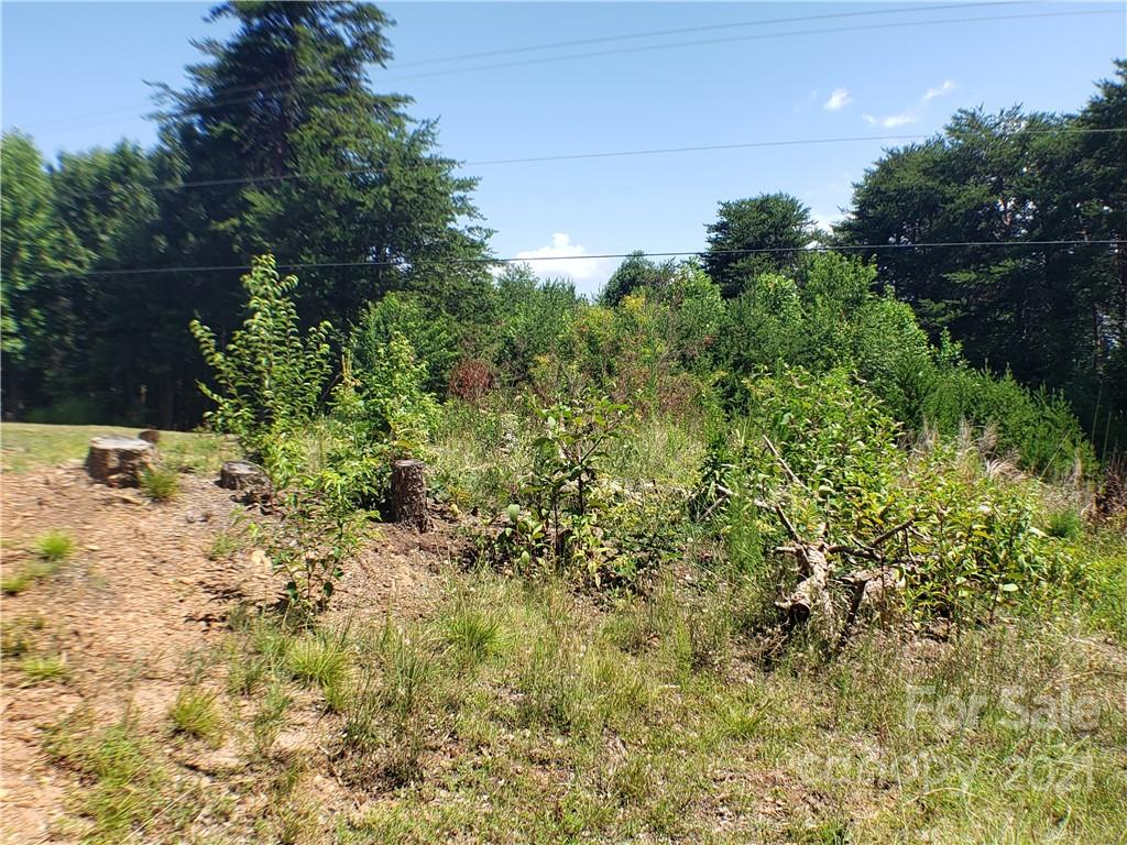 5368 Hope Road Vale, NC 28168 - Photo 2 of 6 a backyard of a house with lots of green space