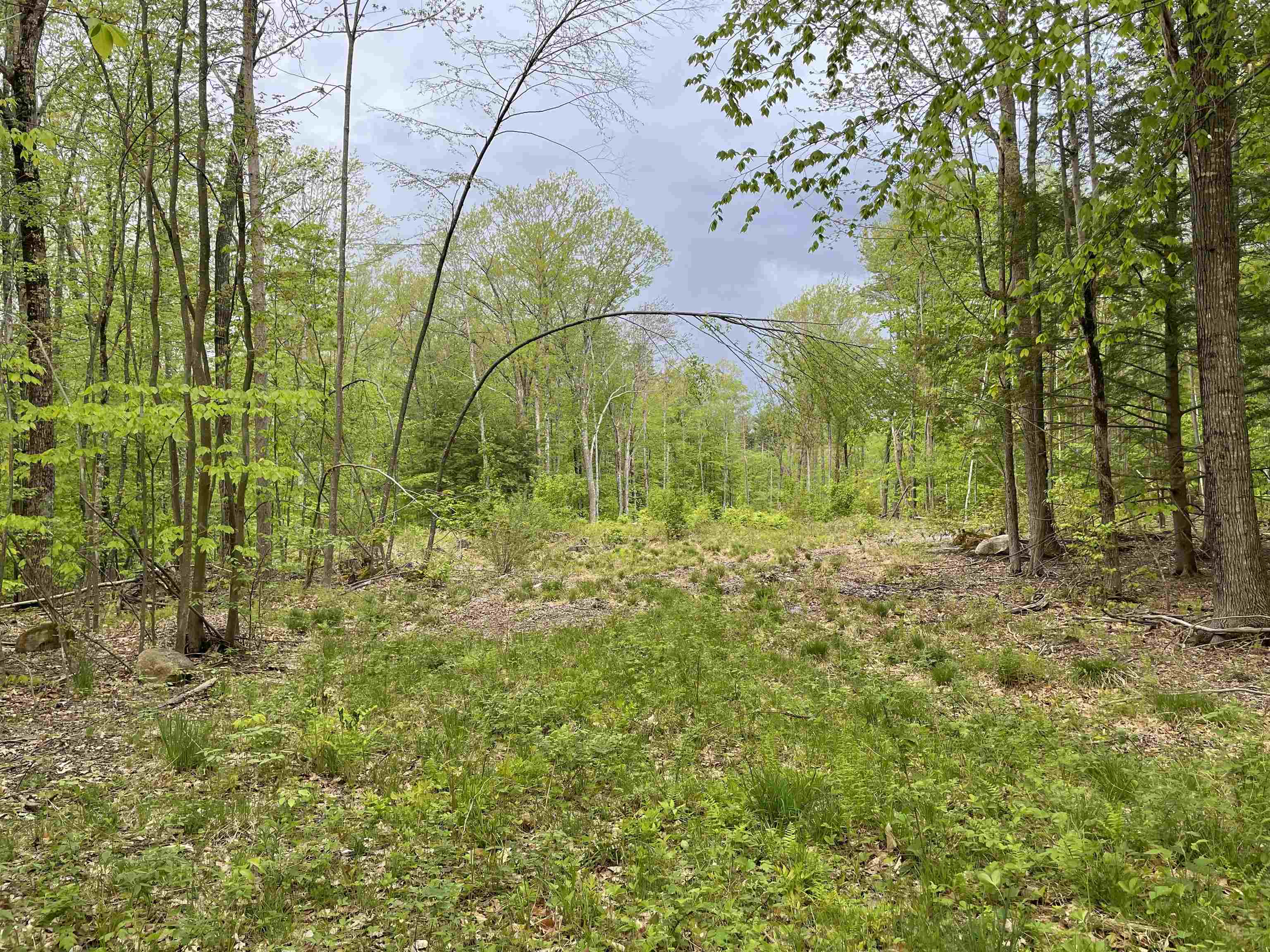 31 Circuit Road Ossipee, NH 03864 - Photo 1 of 1