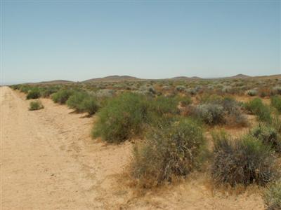 0 Alomar Road North Edwards, CA 93523 - Photo 1 of 4 Primary Photo