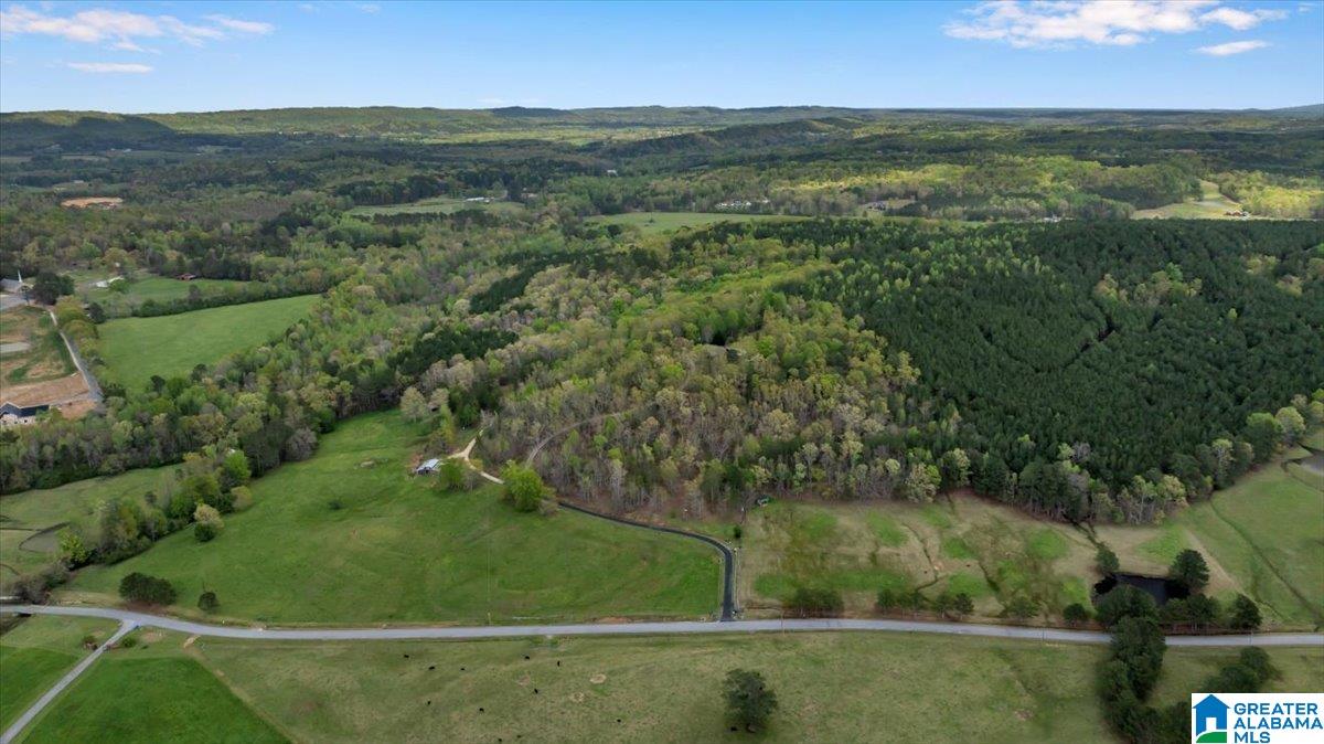 515 Robbins Branch Road Altoona, AL 35952 - Photo 53 of 53