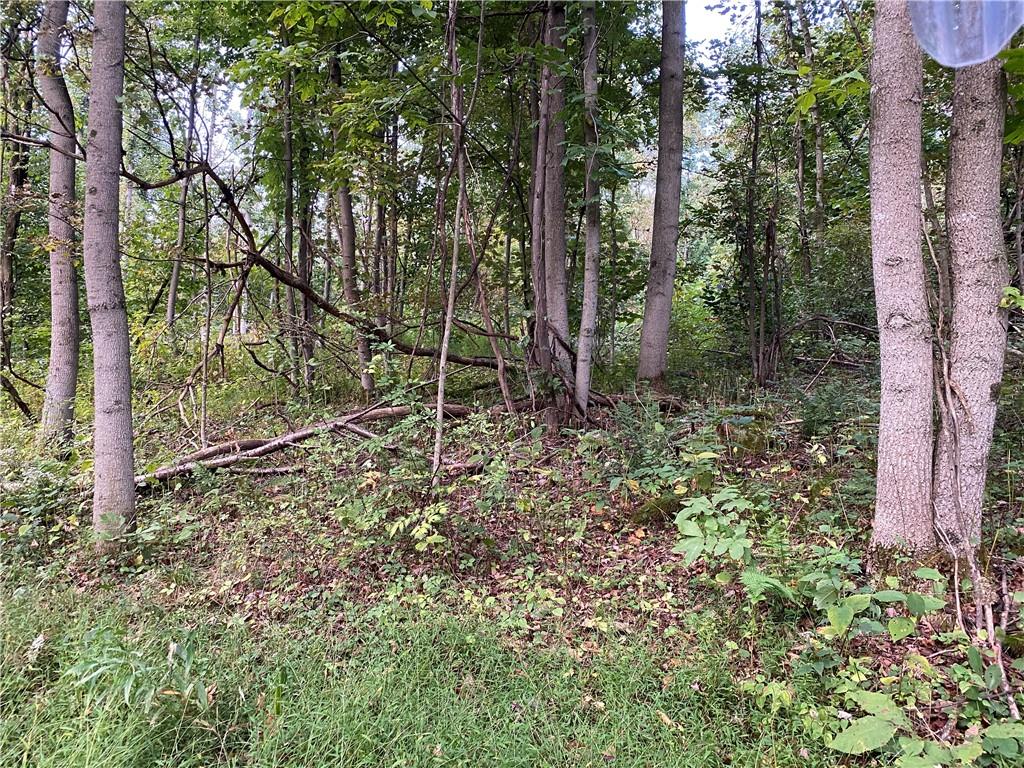 0 Imel Road Normalville, PA 15469 - Photo 13 of 25 a backyard of a house with lots of green space
