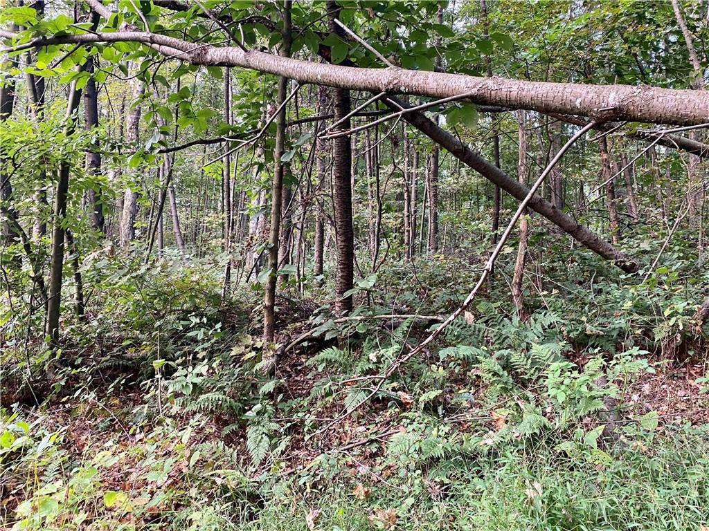 0 Imel Road Normalville, PA 15469 - Photo 16 of 25 a view of outdoor space with lots of green space and trees