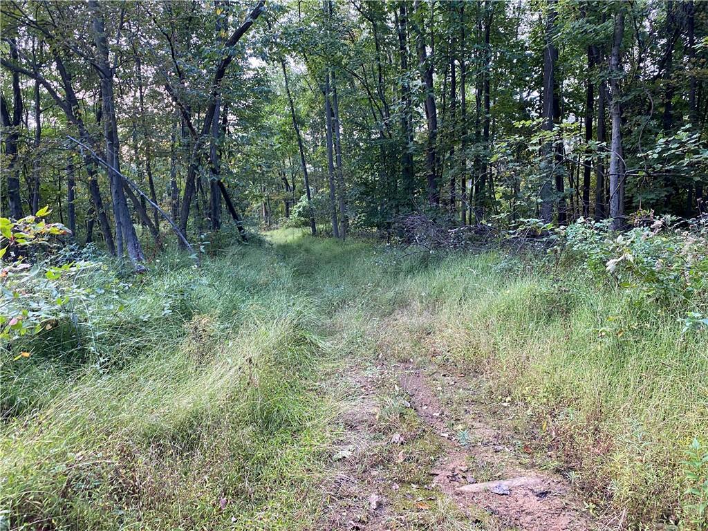 0 Imel Road Normalville, PA 15469 - Photo 18 of 25 a view of outdoor space and green space