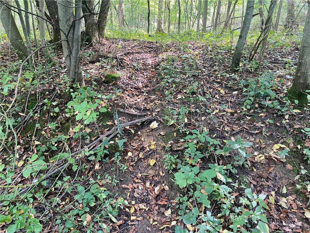 0 Imel Road Normalville, PA 15469 - Photo 3 of 25 a view of a yard with plants and large trees