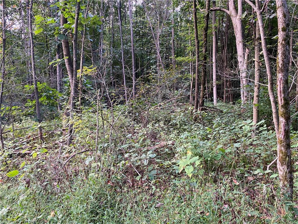 0 Imel Road Normalville, PA 15469 - Photo 21 of 25 a view of a backyard