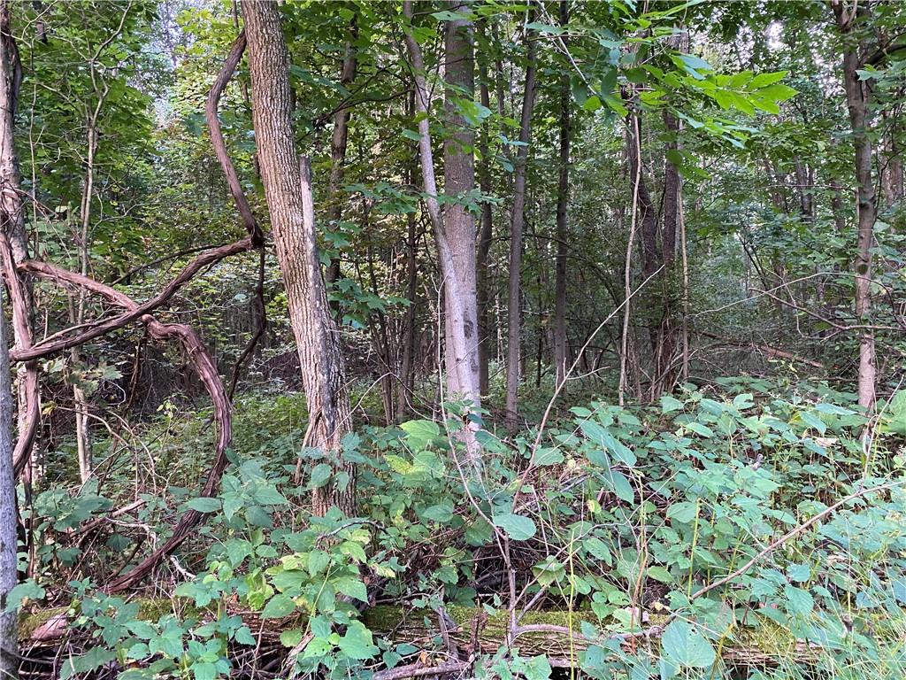 0 Imel Road Normalville, PA 15469 - Photo 22 of 25 a backyard of a house with lots of green space and a fountain