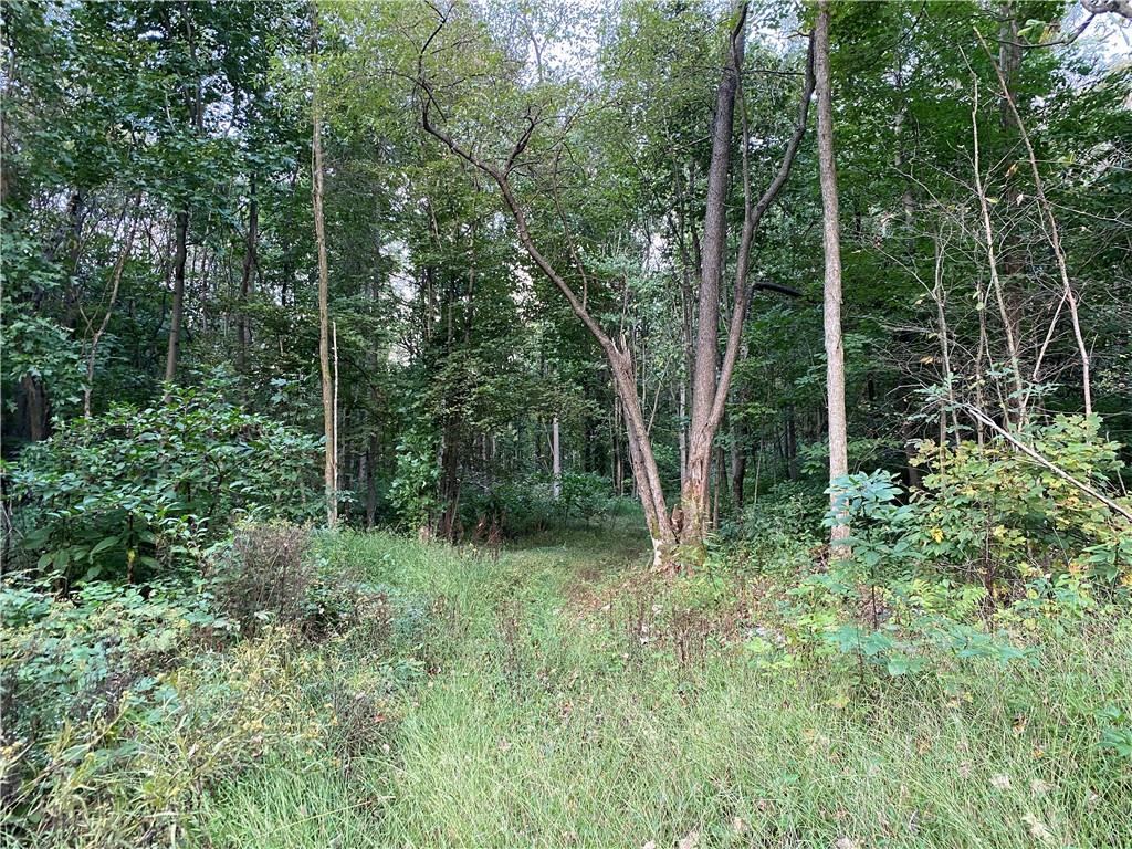 0 Imel Road Normalville, PA 15469 - Photo 23 of 25 a view of forest